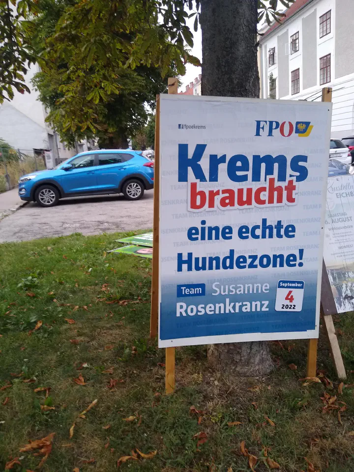 Wenn ich Bürgermeister bin, würde ich den Garten von Frau Rosenkranz zur Hundezone erklären. – Werde ich nun gewählt?